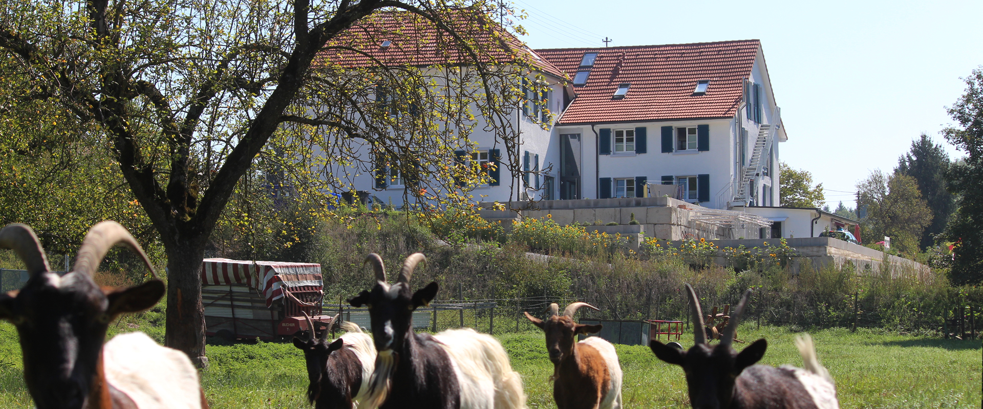 DAS ZOLLHAUS - Altes Zollhaus in Riedern am Sand (Klettgau) Ansicht von Westen