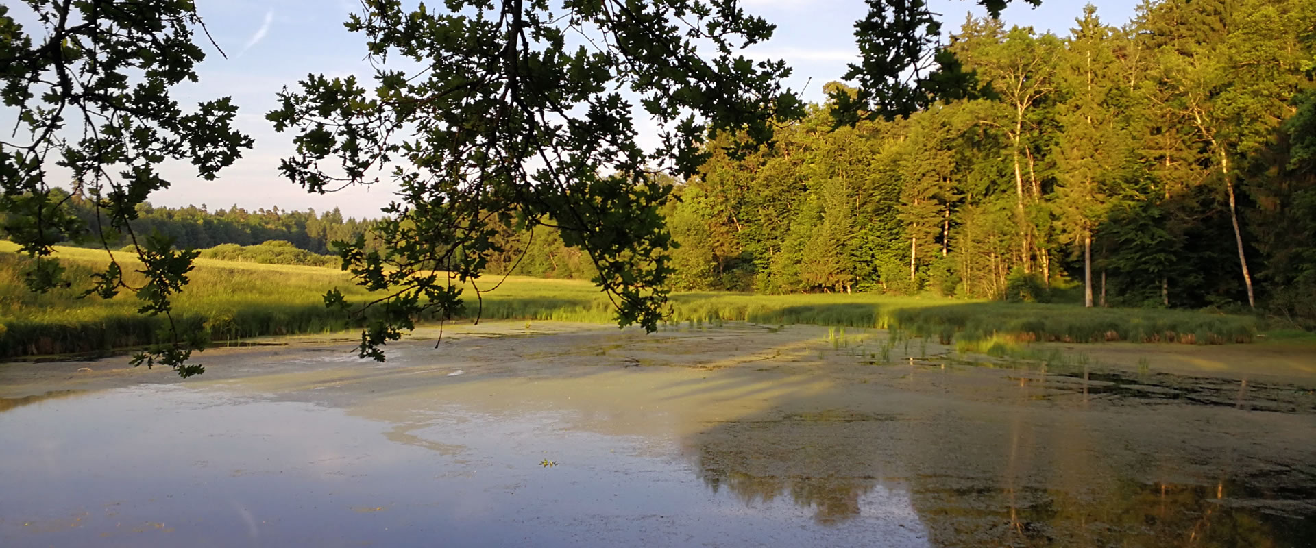 DAS ZOLLHAUS - Altes Zollhaus in Riedern am Sand (Klettgau) Ansicht von Südosten