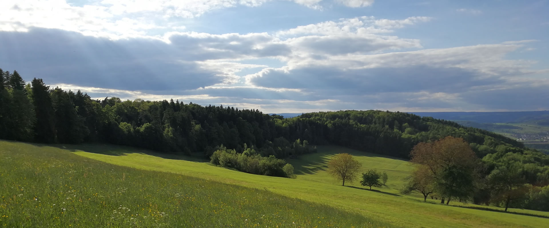 DAS ZOLLHAUS - Altes Zollhaus in Riedern am Sand (Klettgau) Aussicht nach Westen