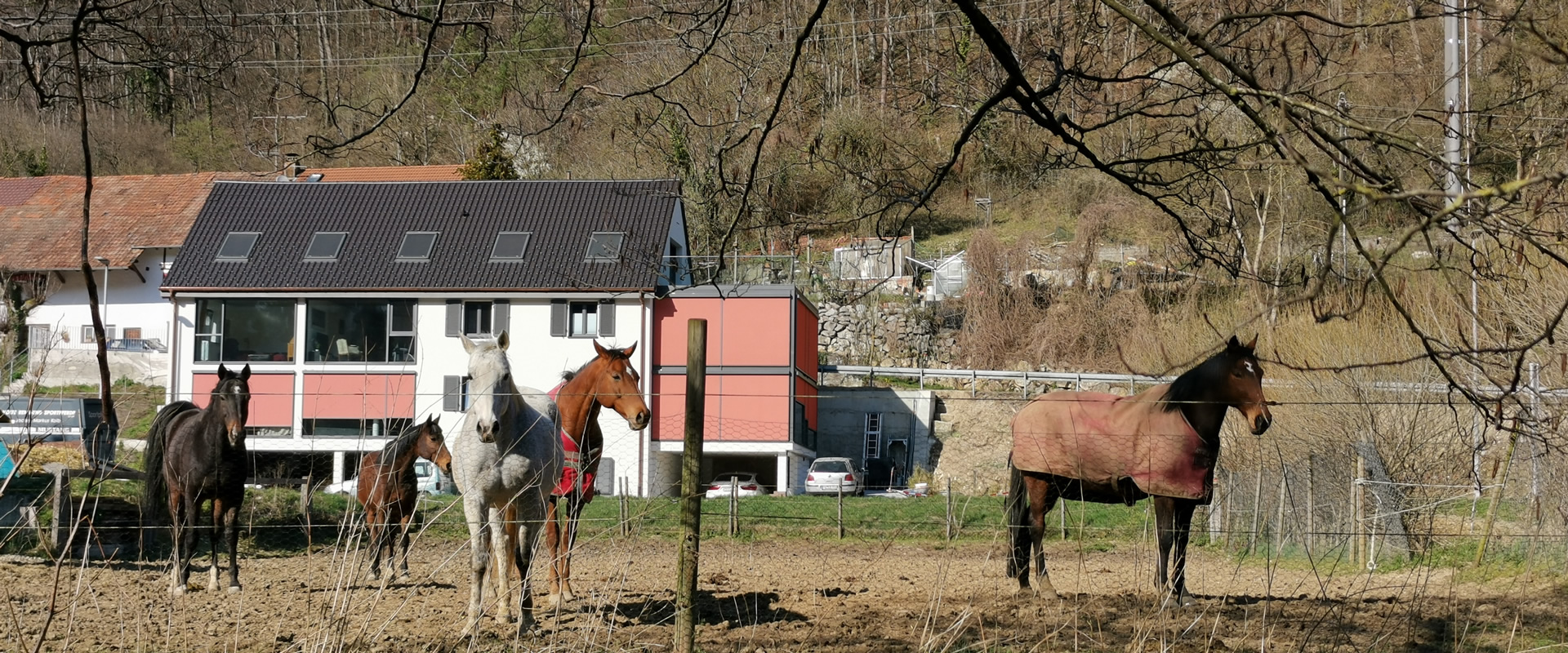 DAS ZOLLHAUS - Altes Zollhaus in Riedern am Sand (Klettgau) Ansicht von Nordosten